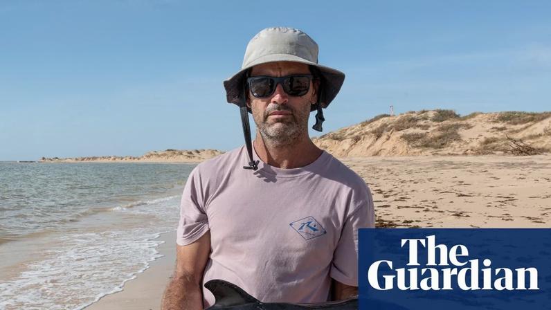 Ciclone Narelle causa mortalidade de tartarugas, golfinhos e aves na Austrália