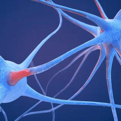 Cientistas identificam impressão neural de drogas psicodélicas no cérebro