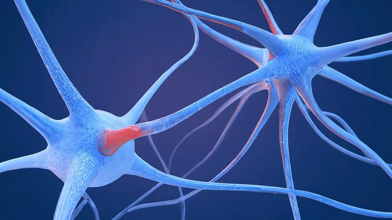 Cientistas identificam impressão neural de drogas psicodélicas no cérebro