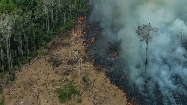 Bancos verificam dados de satélite sobre desmatamento para crédito rural