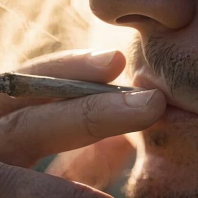 Relatório sobre legalização da cannabis na Alemanha não gera consenso
