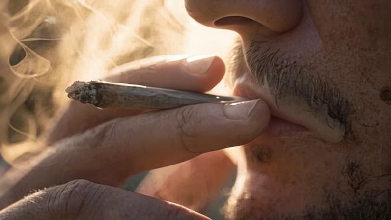 Relatório sobre legalização da cannabis na Alemanha não gera consenso