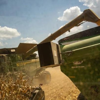 Traders dos EUA estudam exportação de fertilizantes nitrogenados na guerra no Irã