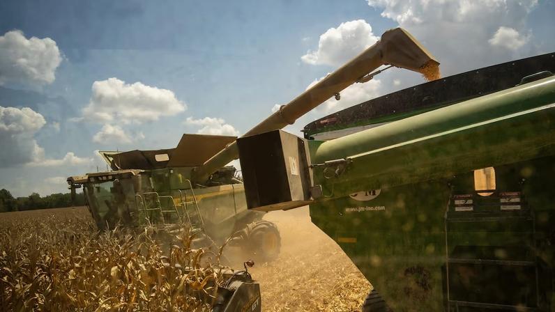 Traders dos EUA estudam exportação de fertilizantes nitrogenados na guerra no Irã