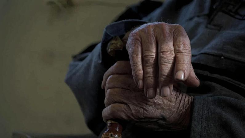 Longevity.Technology usa IA para transformar envelhecimento saudável em dados