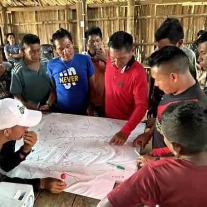 Povos indígenas e pesquisadores descrevem nova palma amazônica