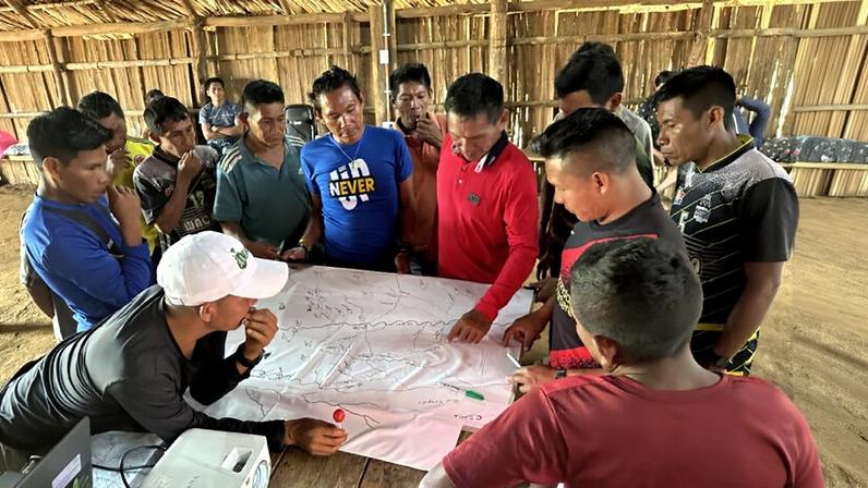Povos indígenas e pesquisadores descrevem nova palma amazônica