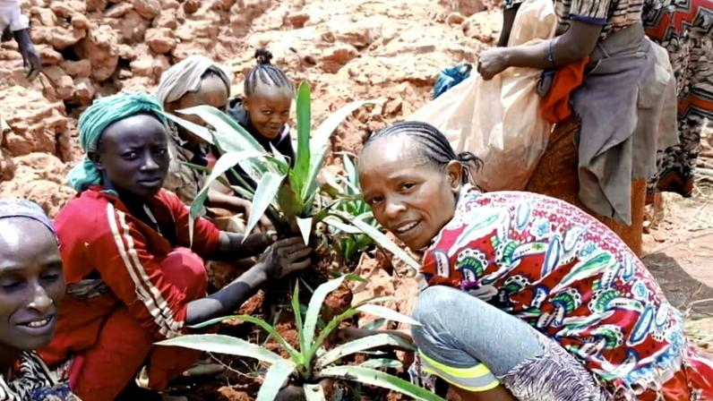 Mulheres etíopes plantam árvores para recuperar terras e meios de subsistência