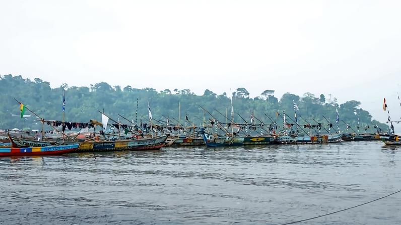 Livro sobre tubarões e arraias de Camarões preenche lacuna na conservação