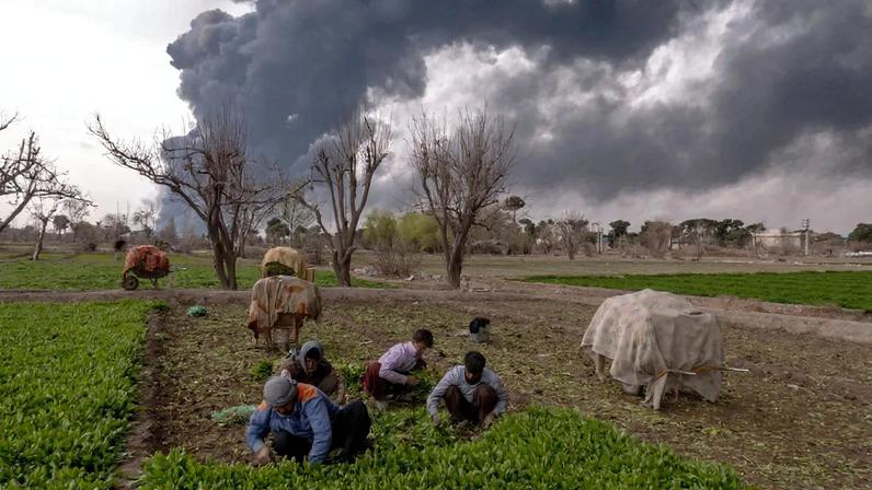 Farm workers harvest crops as smoke billows after overnight airstrikes on oil depots in Tehran on March 8.