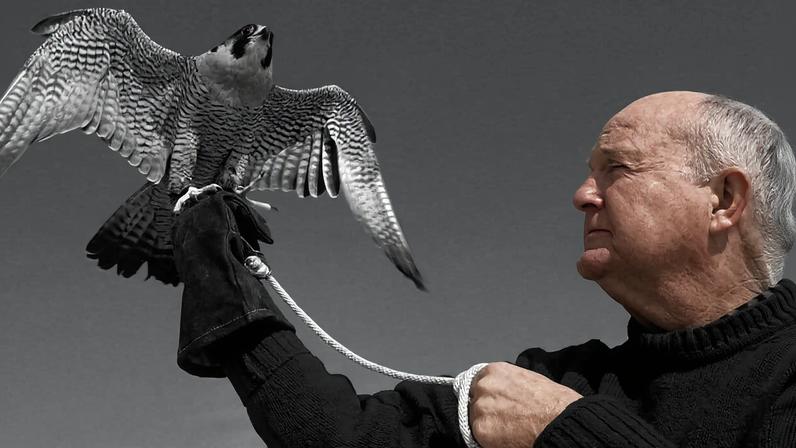 Mitchell Byrd, ornitólogo que ajudou a recuperar as águias-carecas no Chesapeake