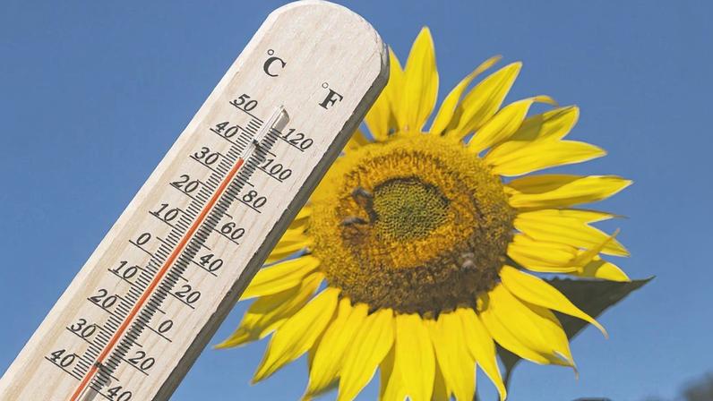 Calor persiste no Brasil neste fim de semana