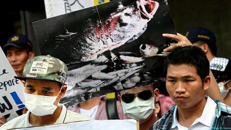 Vietnamese activists hold a photo of dead fish, allegedly killed with toxic chemicals, during a protest to urge Formosa Plastics Group to take responsibilities for the cleanup in Vietnam, August 2016, in Taipei, Taiwan.