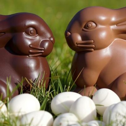 Desmatamento envolve chocolate de Páscoa e seu impacto ambiental