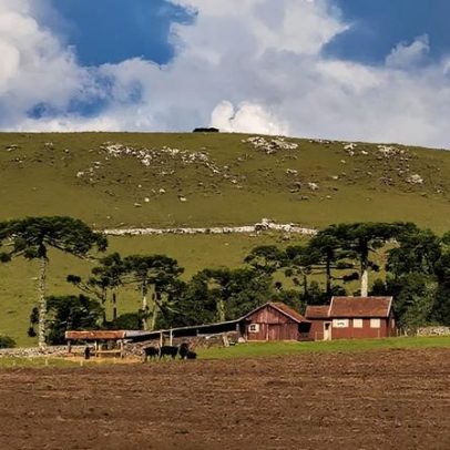Abuso patrimonial no agro: crime silencioso que atinge famílias e fazendas