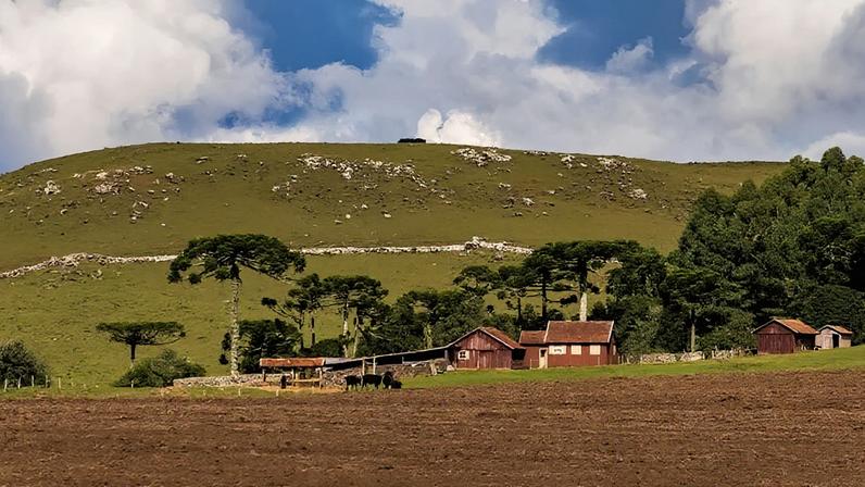 Abuso patrimonial no agro: crime silencioso que atinge famílias e fazendas