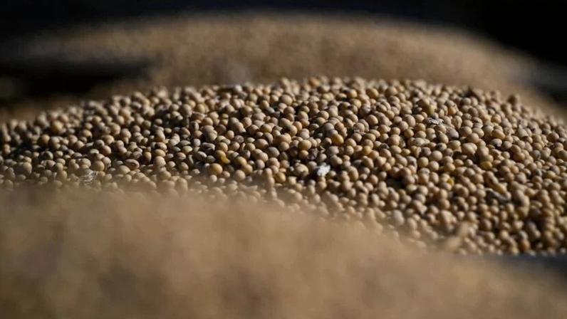 Anec projeta exportação de soja em abril: 16,4 milhões de toneladas