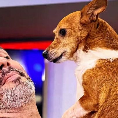 Andre Marques critica o pet da família, citando "bafuda do papai" e hálito ruim