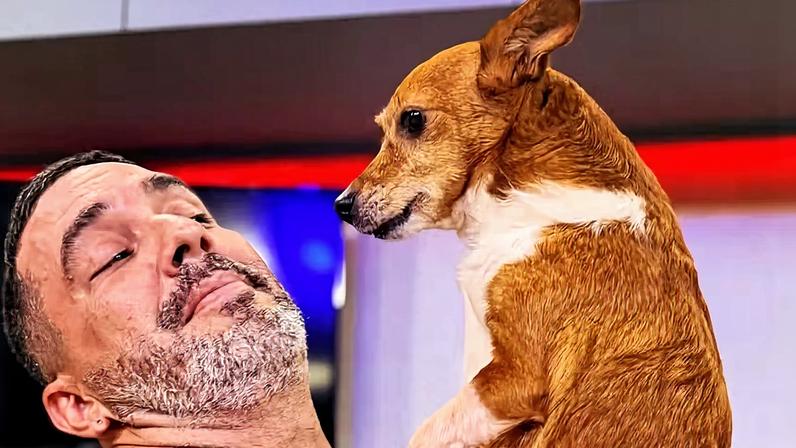 Andre Marques e a cadelinha Pururuca — Foto: Reprodução/Instagram