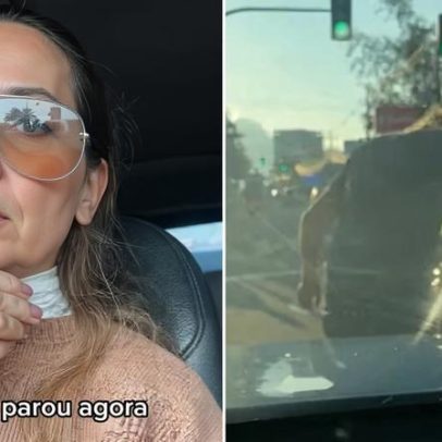 Apresentadora do SBT enfrenta tensão após acidente de trânsito