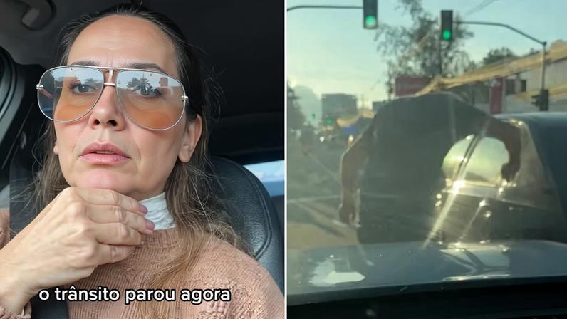 Isabele Benito viveu tensão após acidente de trânsito — Foto: Reprodução/Instagram