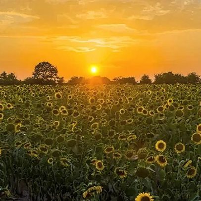 Menos mortes ligadas ao calor em 2025, apesar do verão mais quente
