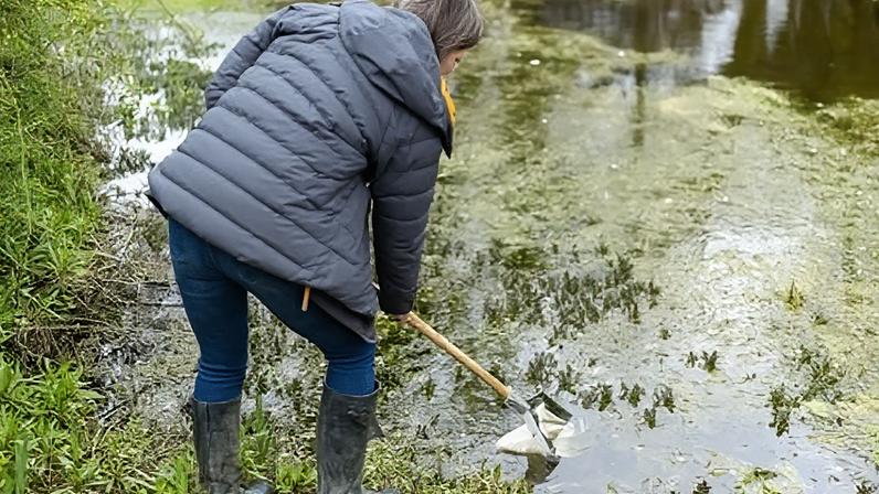 Água e vida selvagem retornam às lagoas de fazenda