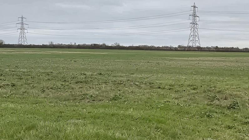The battery storage unit would be built on farmland near Wicken