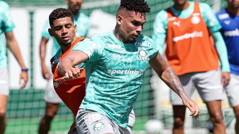 Paulinho acompanha Palmeiras na viagem para estreia da Libertadores