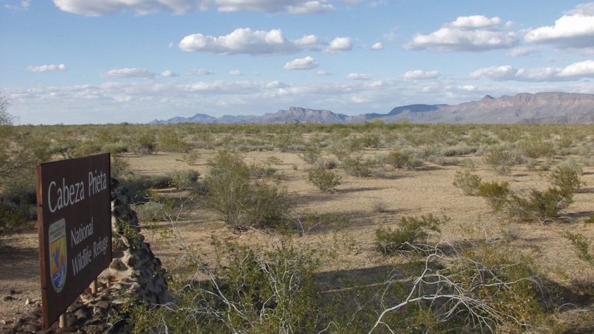 Sítio arqueológico de 1.000 anos é demolido na fronteira México-EUA