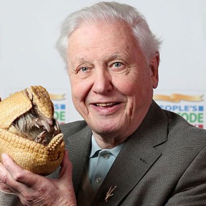 David Attenborough completa 100 anos e relembra trajetória na natureza
