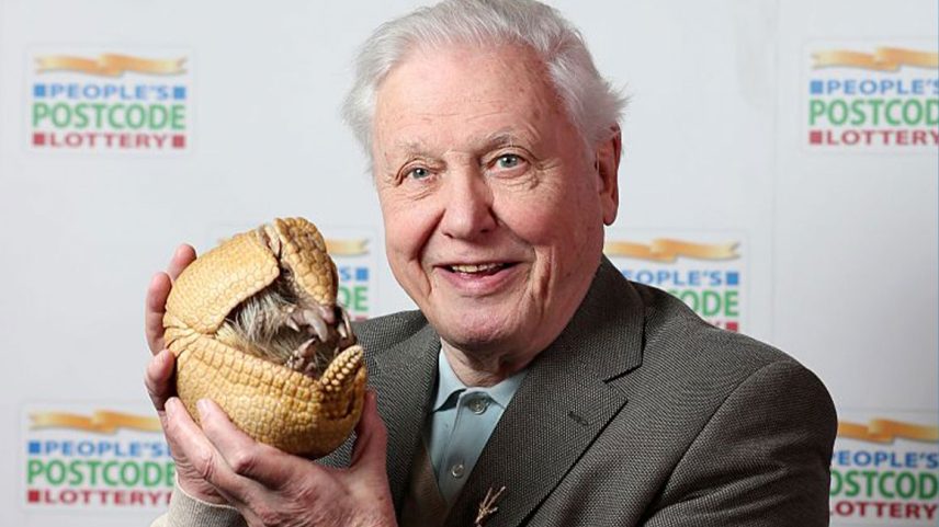 David Attenborough segura 'Into', um tatu do zoológico de Edimburgo.