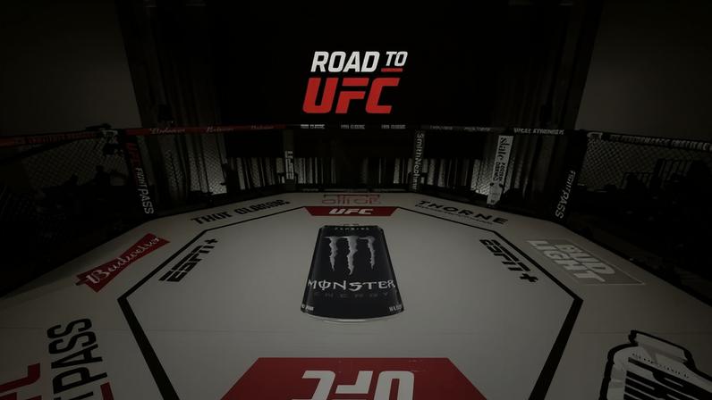 A general view of the Octagon prior to the Road to UFC event at UFC Performance Institute in Shanghai