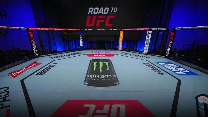 A general view of the Octagon prior to the Road to UFC event at UFC Performance Institute in Shanghai