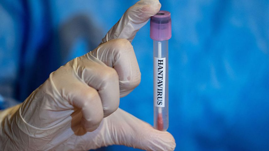 Brasil registra casos de hantavirose por ano, com números em avaliação