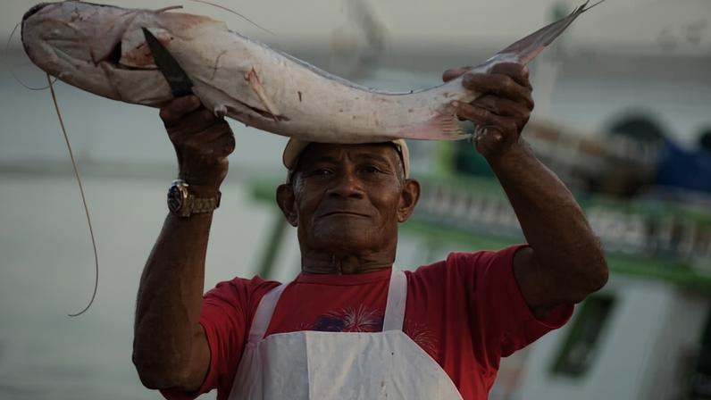 Amazonian migratory catfish for sale at the Ver-o-Peso market in Belém, Pará. Image by AP Photo/Eraldo Peres.