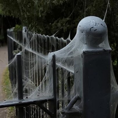 Teias de lagartas com aparência alarmante no parque são inofensivas