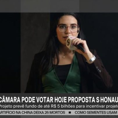 Câmara vota projeto sobre terras raras às vésperas de reunião Lula-Trump