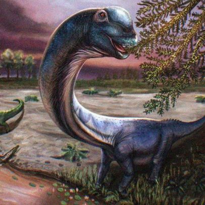 Dinossauro de quase 30 t é o maior já encontrado no Sudeste Asiático