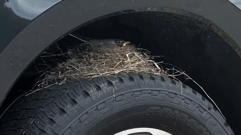 TUI enfrenta escrutínio por morte de bebê ligada a E. coli após viagem ao Egito