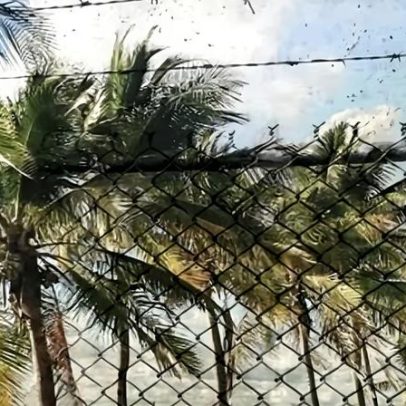 Sobre o acordo de Nauru de US$2,5 bi, sobrevivente de abuso critica o governo Albanese
