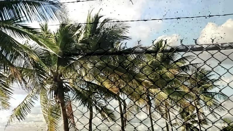 Sobre o acordo de Nauru de US$2,5 bi, sobrevivente de abuso critica o governo Albanese