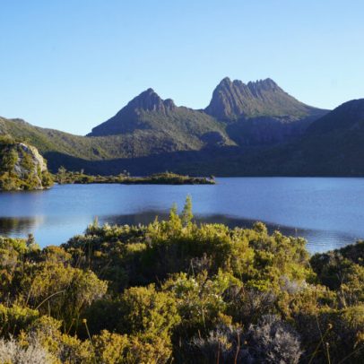 Florestas da Tasmânia, vistas como refúgio climático, aquecem e pedem ajuda