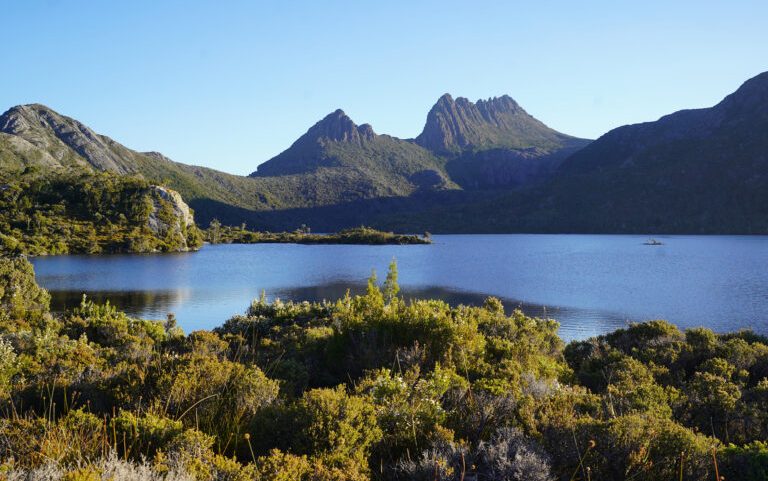 Florestas da Tasmânia, vistas como refúgio climático, aquecem e pedem ajuda