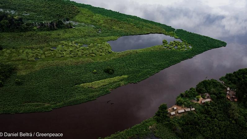 Agricultura impulsiona a perda de turfas tropicais na Indonésia, Peru e RD Congo