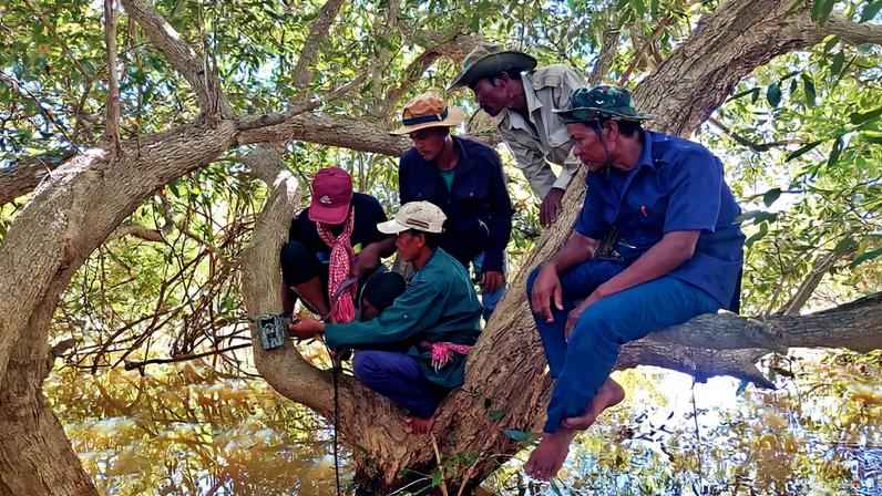 No maior lago do Sudeste Asiático, moradores usam tecnologia para defender floresta alagada