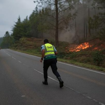 Incêndios atingem recorde e calor extremo, dizem cientistas