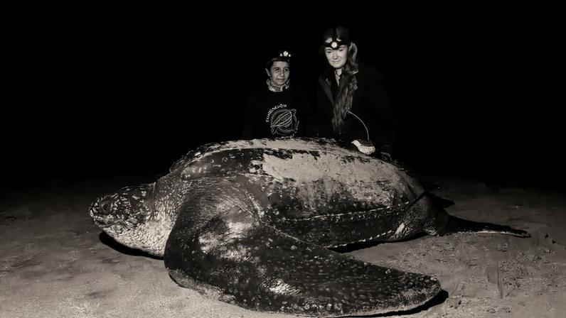 Callie Veelenturf and Kerly Briones with Lucero on Playa Pajonal, Ecuador. Image courtesy of Nikki Riddy.