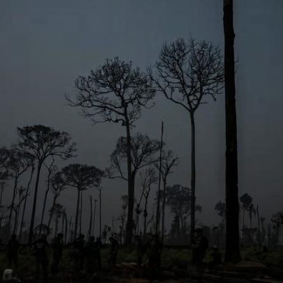 Projeto reduz em quase 40% a Floresta Nacional do Jamanxim próximo à BR-163