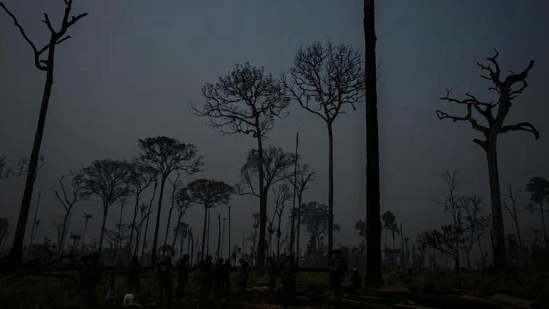 Em agosto de 2023, agentes ambientais realizaram operação ambiental na Floresta Nacional do Jamanxim, no Pará. — Foto: Vinicius Mendonca/Ascom Ibama
